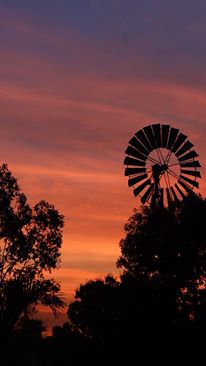 Emerald Springs Roadhouse - Accommodation Bookings 4