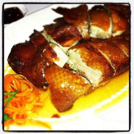 Taste Of China Restaurant - Accommodation Bookings 4