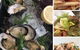 Shuck On Tedder - thumb 5