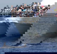 MoonshadowTQC Cruises