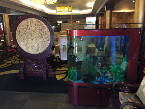 Dragon Palace - Accommodation Bookings 4