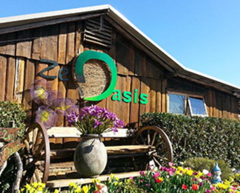 Zen Oasis Vegetarian Restaurant - Accommodation Bookings 0