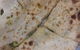 Copperpot Indian Restaurant - thumb 0