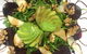 Gebran Lebanese Cuisine - thumb 9