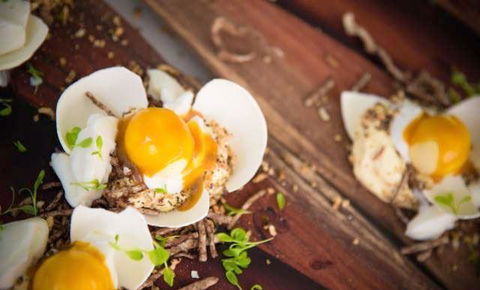The Long Apron - Accommodation Bookings 14