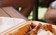 Koy Restaurant - thumb 2