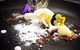 Piccolo Cucina - thumb 9