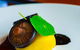 Piccolo Cucina - thumb 8