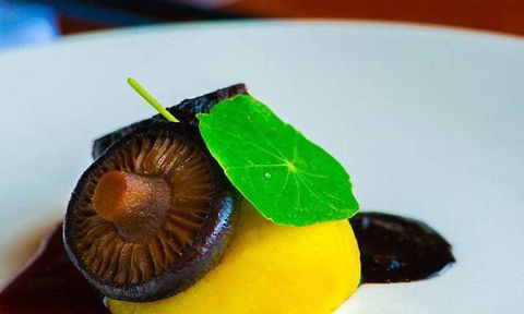 Piccolo Cucina - Accommodation Bookings 8