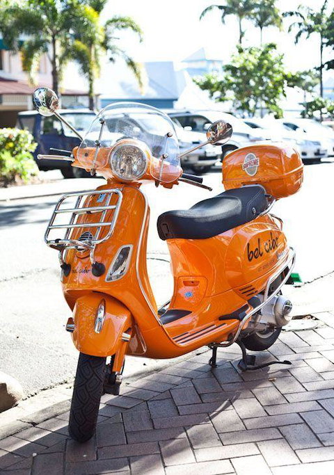 The Foreshore Bar & Restaurant - Accommodation Bookings 10