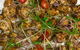 Urban Tadka - thumb 10