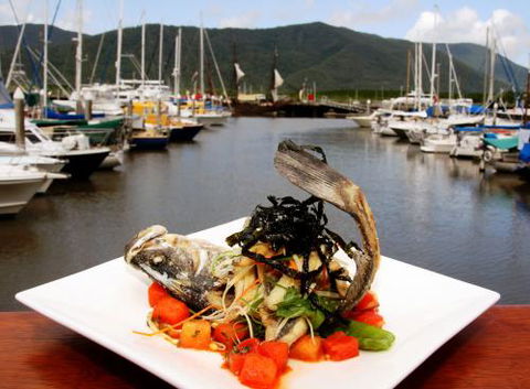 Tha Fish - Accommodation Bookings 0