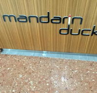 Mandarin Duck - Accommodation Bookings