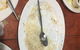 Tandoor And Curry House - thumb 7