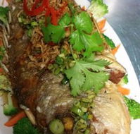 Vanidol's Asian Cuisine - Accommodation Bookings
