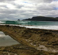 Bruny Island Berry Farm - Accommodation Bookings