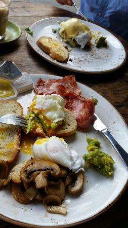 Il Cibo - Accommodation Bookings 0