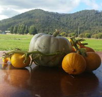 Mount Gnomon Farm - Accommodation Bookings