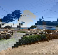 Penguin  Pardalote Coffee House - Accommodation Bookings
