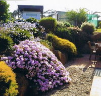 Pipers River Tea House and Crafts - Accommodation Bookings