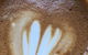 Two Folk Espresso - thumb 1