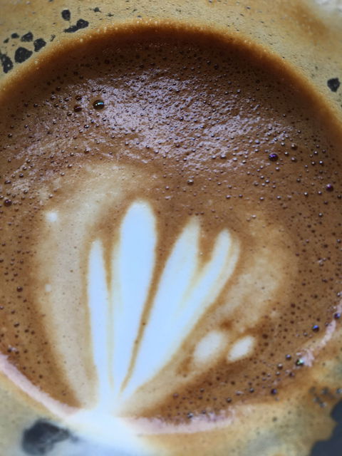 Two Folk Espresso - Accommodation Bookings 1