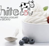 White Cow - Greek Frozen Yogurt Artisan Gelato - Accommodation Bookings