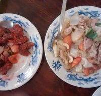 Opal City Chinese Restaurant - Accommodation Bookings