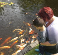 Ramon's at Willow Pond - Accommodation Bookings