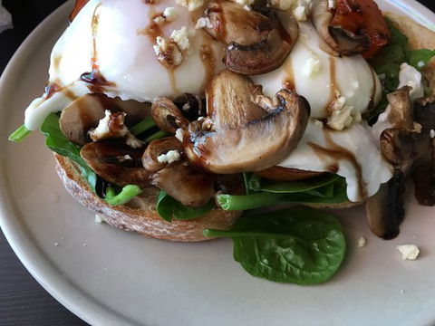 Hedgehogs Cafe - Accommodation Bookings 0