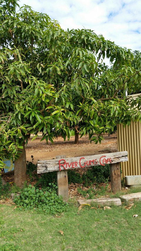 River Gums Cafe - Accommodation Bookings 1