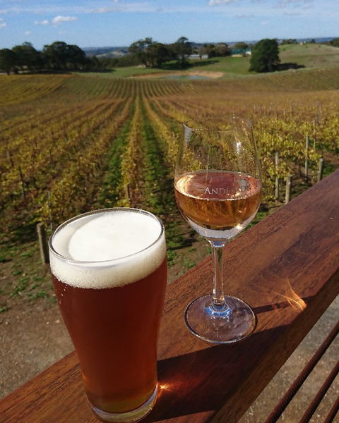 Anderson Hill Cellar Door Restaurant - Accommodation Bookings 4
