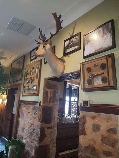 Inglewood Inn - Accommodation Bookings 12