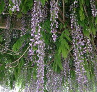 The Topiary Pantry - Accommodation Bookings