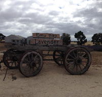 Emu Bay Lavender - Accommodation Bookings