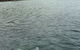 Whyalla Foreshore - thumb 1