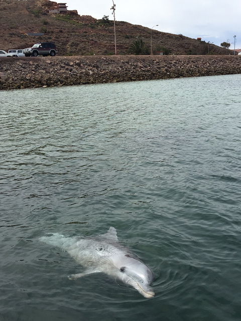 Whyalla Foreshore - Accommodation Bookings 5
