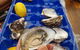 Beachcomber - thumb 6