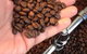 Fleurieu Roast - thumb 2