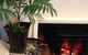 Palm Court Cafe Mannum SA - thumb 8