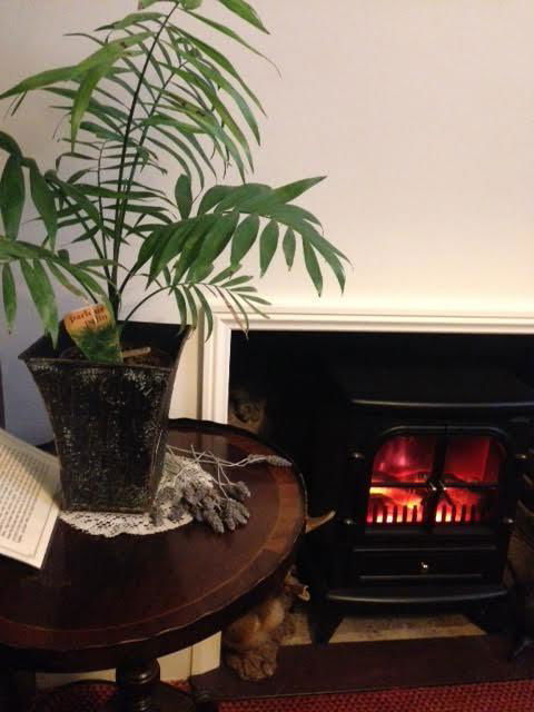 Palm Court Cafe Mannum SA - Accommodation Bookings 8