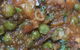 Riverland Tandoor Indian Restaurant - thumb 2