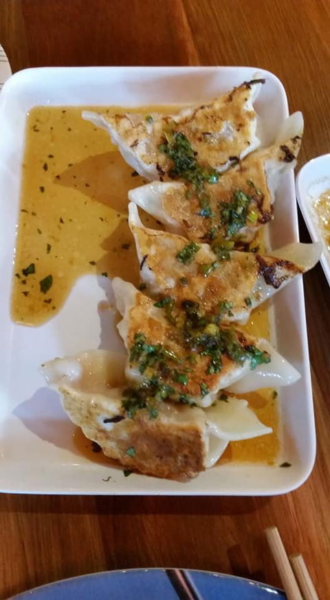 Harajuku Gyoza - Accommodation Bookings 6