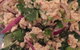 Lemongrass Thai Maudsland - thumb 3
