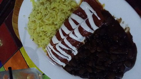 Pickled Cactus - Accommodation Bookings 0