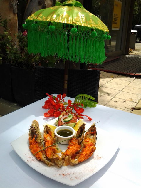 Kaali Gourmet Indian Restaurant - Accommodation Bookings 4