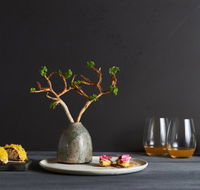 The Long Apron - Accommodation Bookings