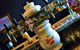 Aquavue Cafe Watersports - thumb 11