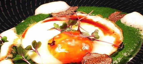 Aquavue Cafe Watersports - Accommodation Bookings 2
