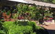 Vines Restaurant At Limberlost Nursery - thumb 1